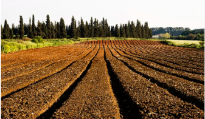 c2cdaa0b484812e5f1b227036cfad3a