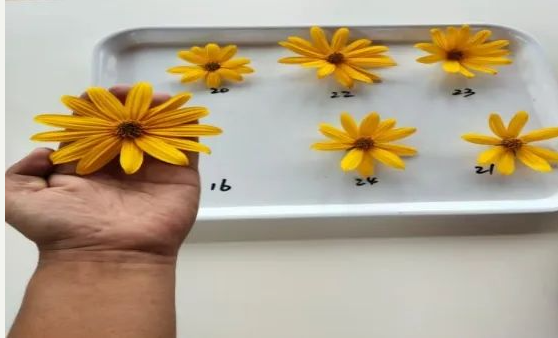 38c27919e098f76c054770cbe8b9e27 38c27919e098f76c054770cbe8b9e27