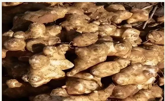 9fa36ddeea4e151559813a17ed1fe85 9fa36ddeea4e151559813a17ed1fe85