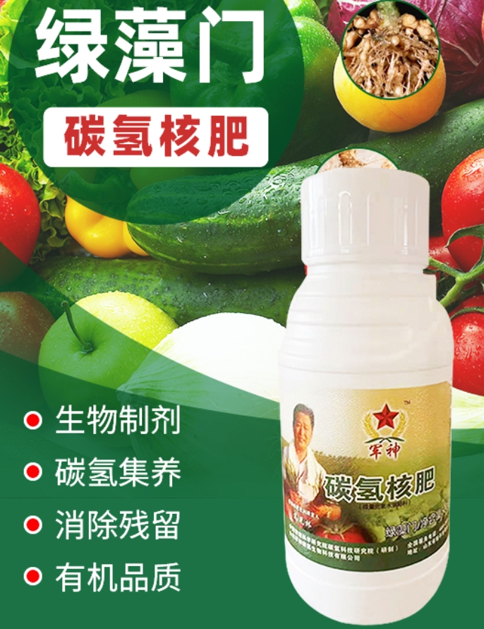 綠藻門(mén)升級(jí)版