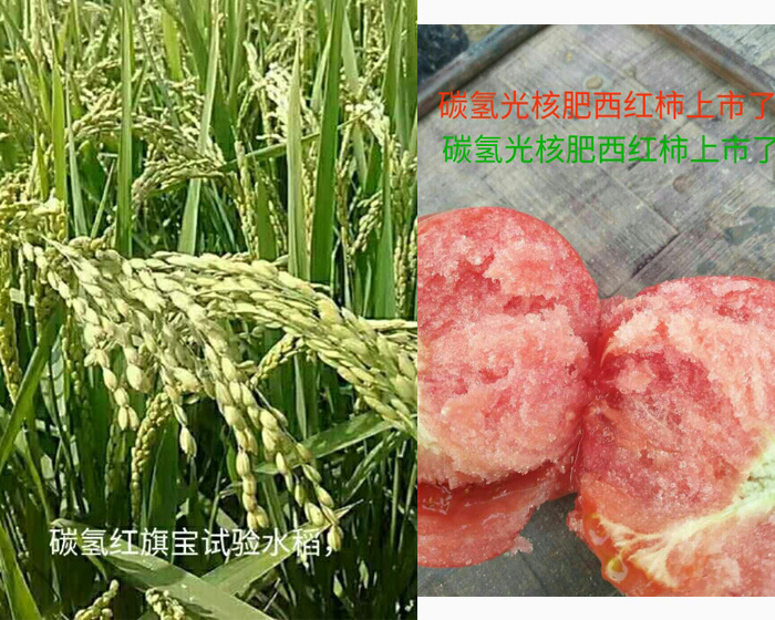 碳?xì)鋵?shí)驗(yàn)基地