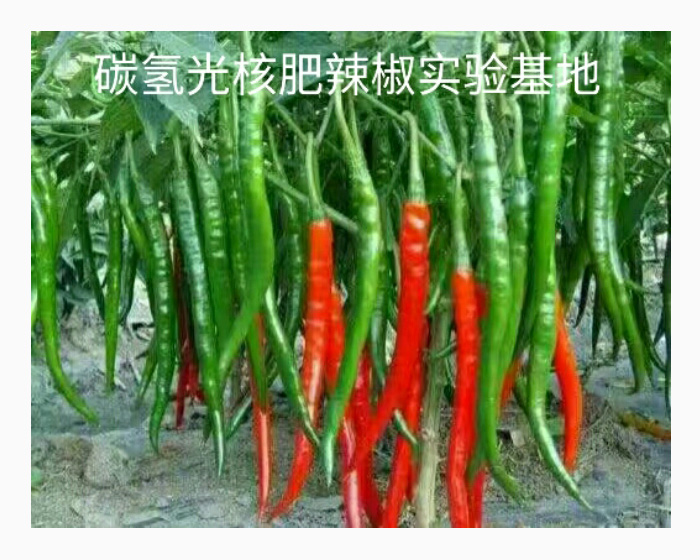 碳?xì)浜朔世苯穼?shí)驗(yàn)基地