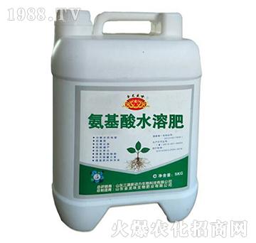 氨基酸水溶肥-碳?xì)鋰?guó)際